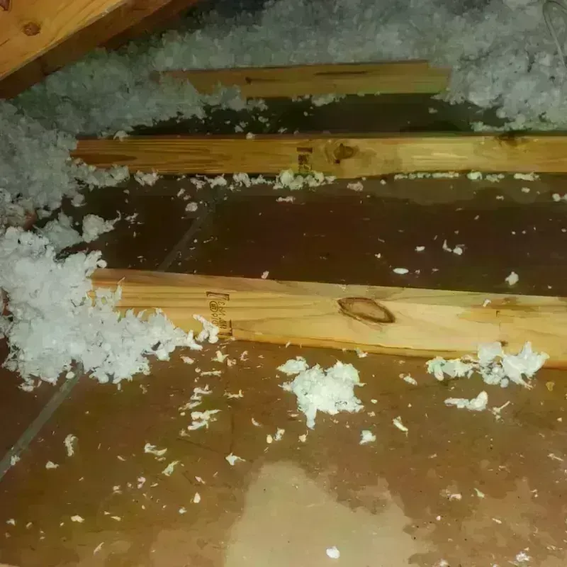 Attic Water Damage in Grayslake, IL