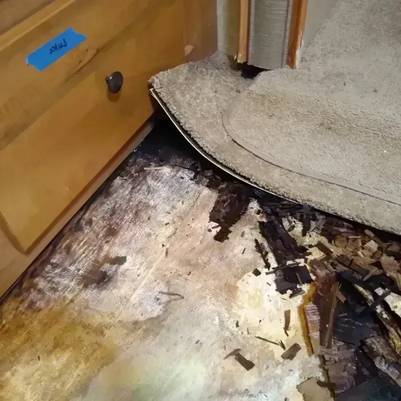 Wood Floor Water Damage in Grayslake, IL